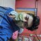 Software Engineer - Male ఎస్కార్ట్ in Hyderabad