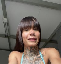 Mounier - Transsexual এস্কর্ট in Chandigarh