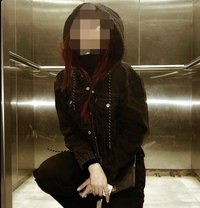 Shweta - escort in Noida