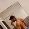 Siddharth - Male escort in Pune