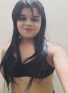 Ankita Sissy - Transsexual escort in Chennai Photo 1 of 1