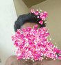 Tharun - Male escort in Chennai Photo 1 of 1