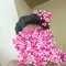Tharun - Male escort in Chennai