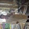 Ayush for Kitty Parties & More - Male escort in Mumbai Photo 2 of 2