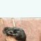 Sidak - Male escort in Ludhiana Photo 2 of 2