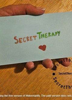 Secret Therapy シークレット・セラピー - Male மசாஜ் in New Delhi Photo 3 of 18