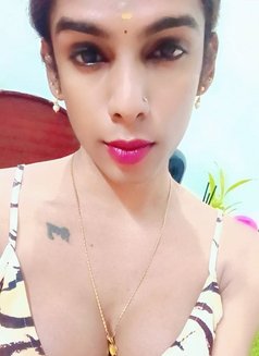 Ziya - Transsexual escort in Chennai Photo 1 of 1