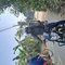 Tantra Massage - Male escort in Bhubaneshwar