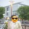 Bhavik - Male escort in Ahmedabad